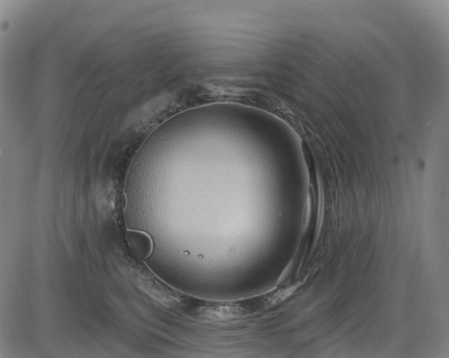 X0000085060567200703121528