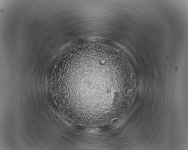 X0000085060569200703121528