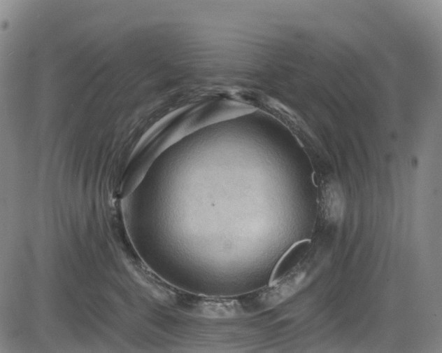 X0000085060571200703121528