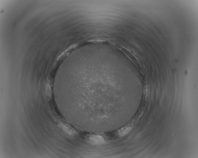 X0000085060572200703121528