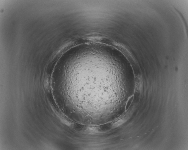 X0000085060573200703121528