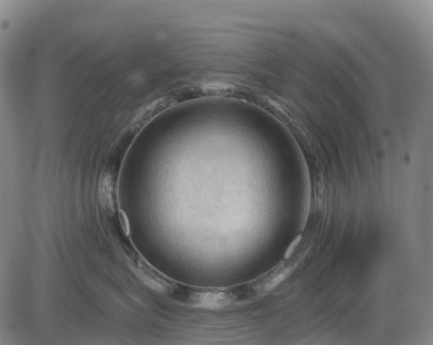 X0000085060575200703121528