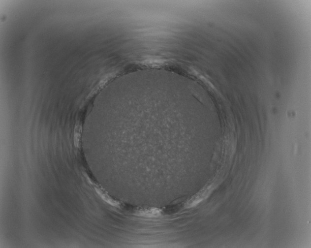 X0000085060576200703121528