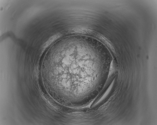 X0000085060578200703121527