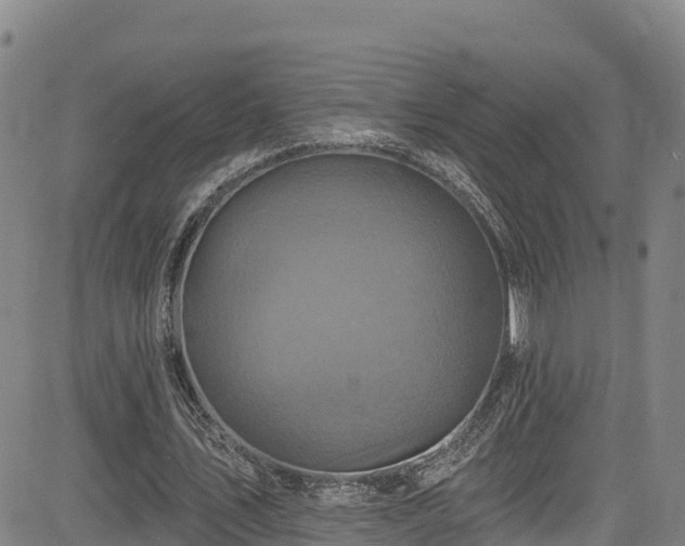 X0000085060579200703121527