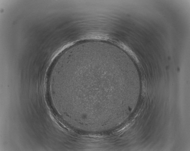 X0000085060580200703121527