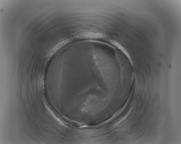 X0000085060581200703121527