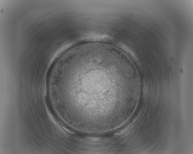 X0000085060582200703121527