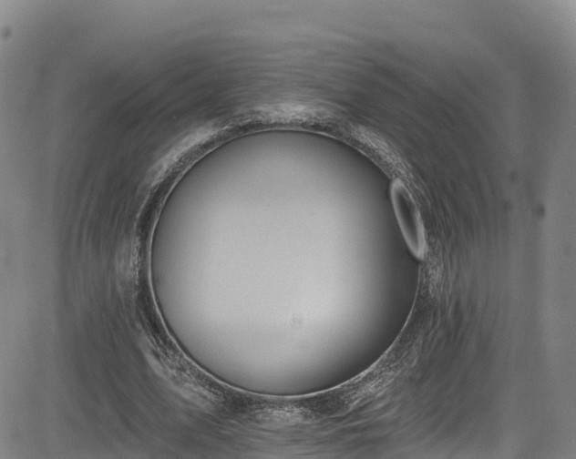 X0000085060583200703121527