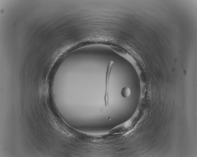 X0000085060584200703121527