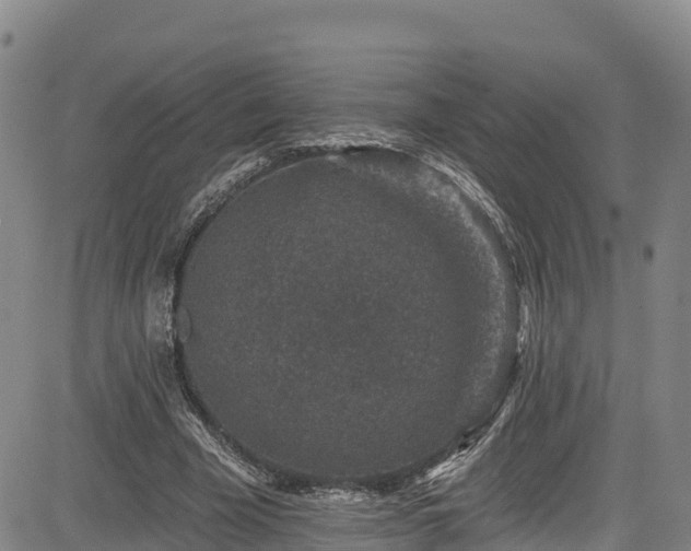 X0000085060585200703121527