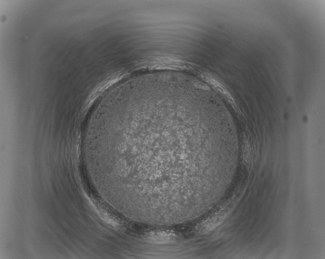 X0000085060586200703121527