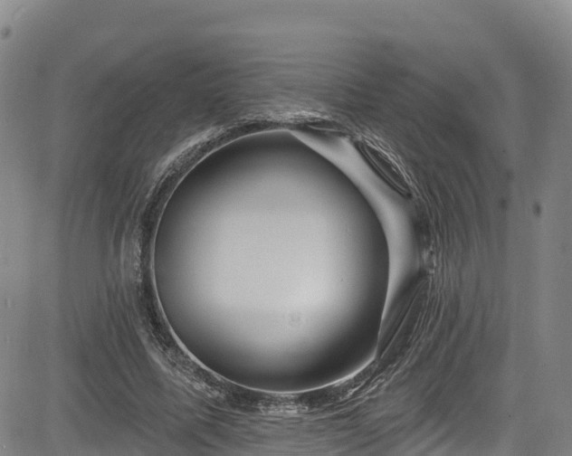 X0000085060587200703121527