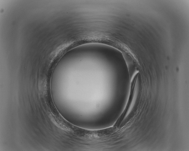 X0000085060588200703121527