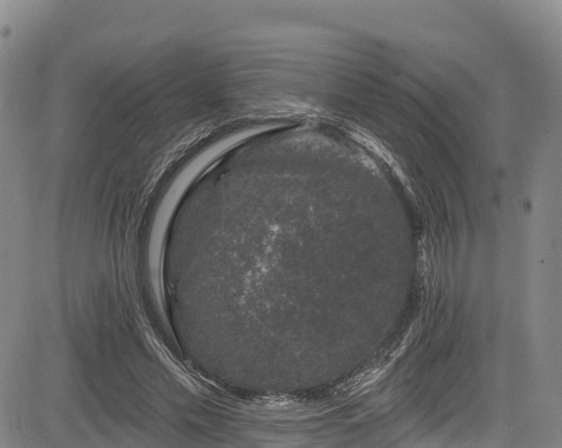 X0000085060589200703121527