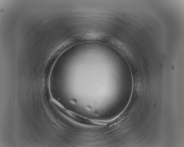 X0000085060591200703121527