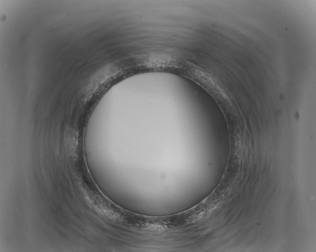 X0000085060592200703121527