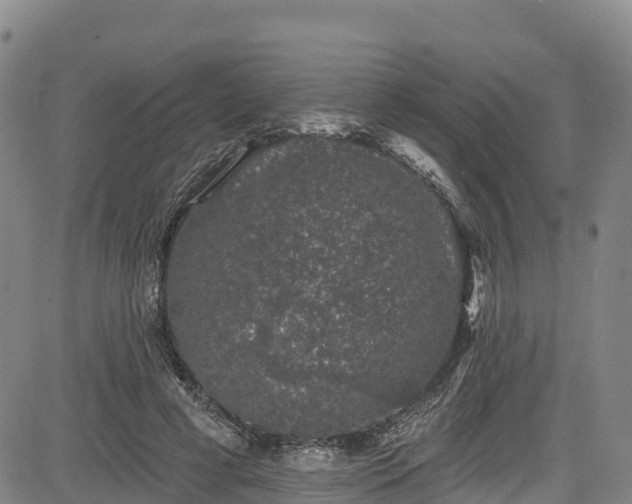 X0000085060593200703121527