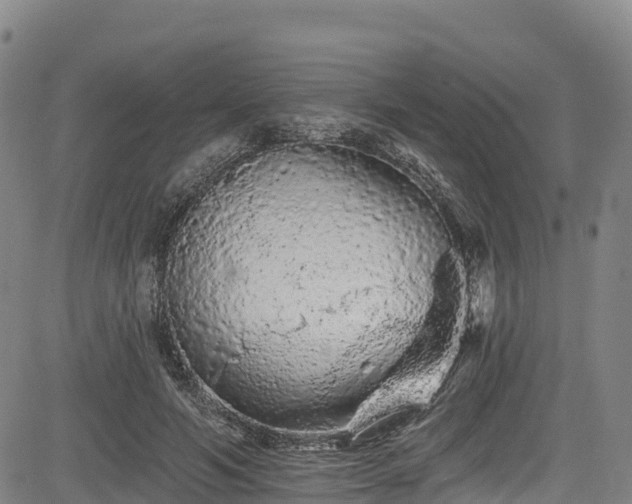 X0000085060594200703121527