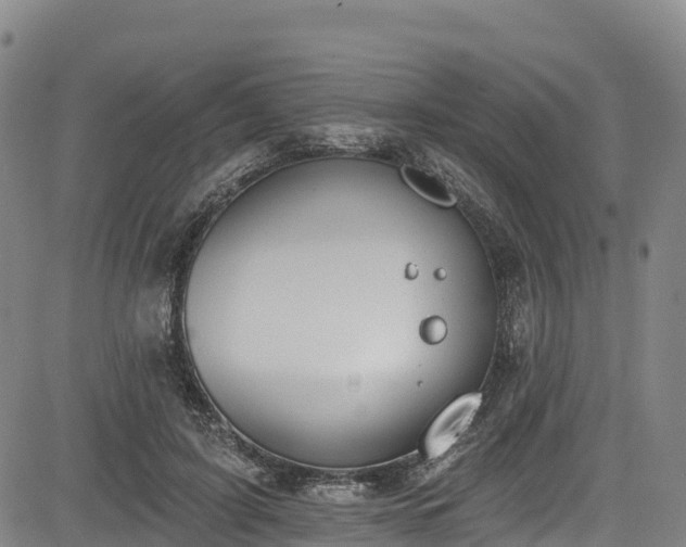 X0000085060595200703121527