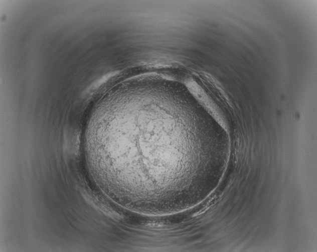 X0000085060596200703121527