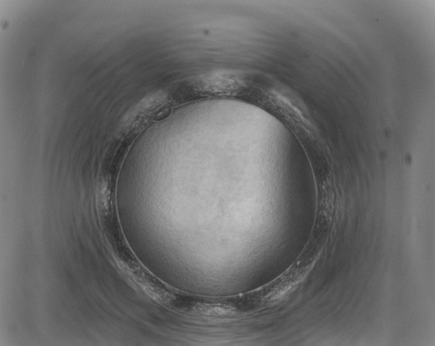 X0000085060597200703121527