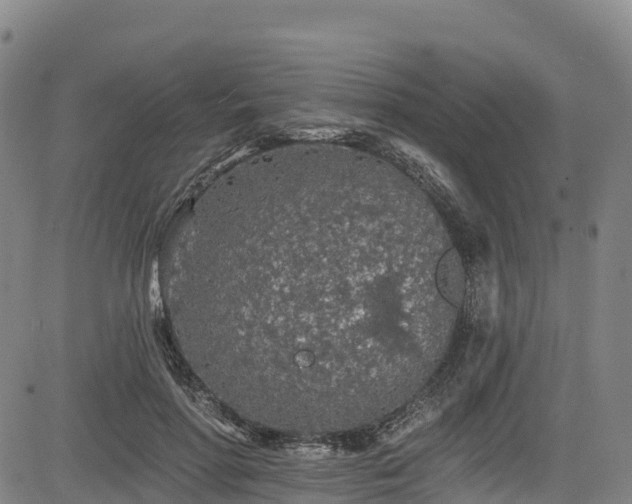 X0000085060598200703121527