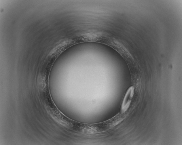 X0000085060599200703121527