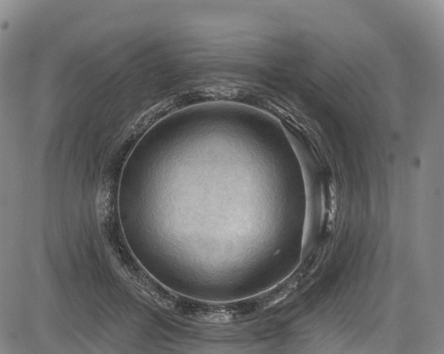 X0000085060600200703121527