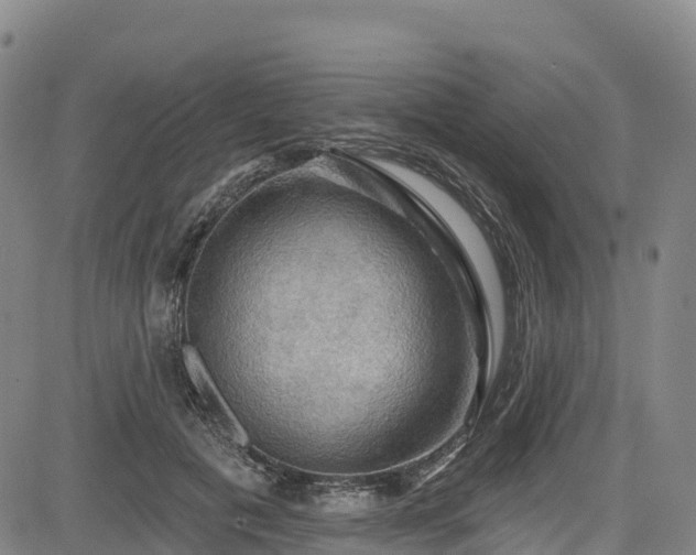 X0000085060601200703121527