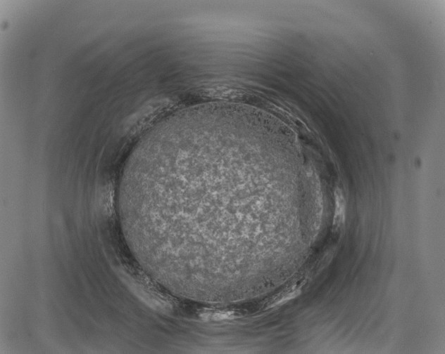 X0000085060602200703121527