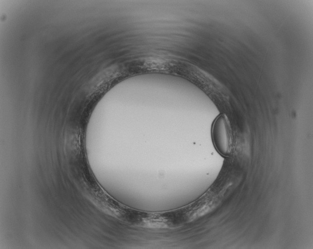 X0000085060603200703121527