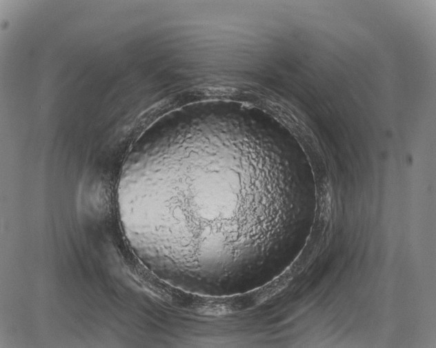 X0000085060604200703121527