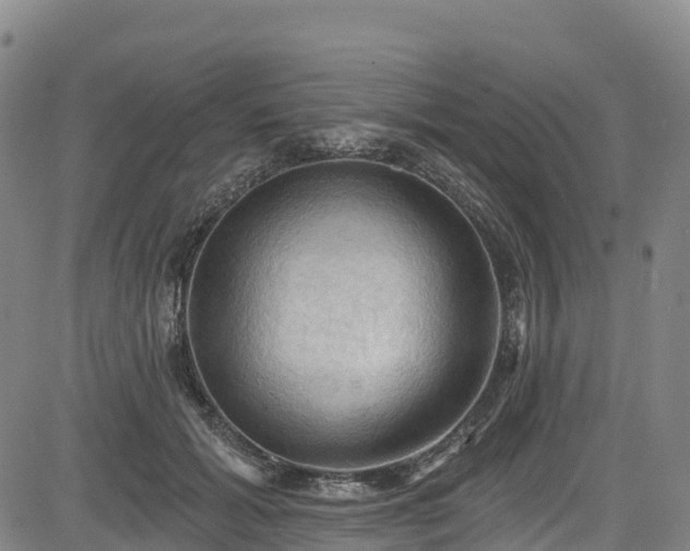 X0000085060605200703121527