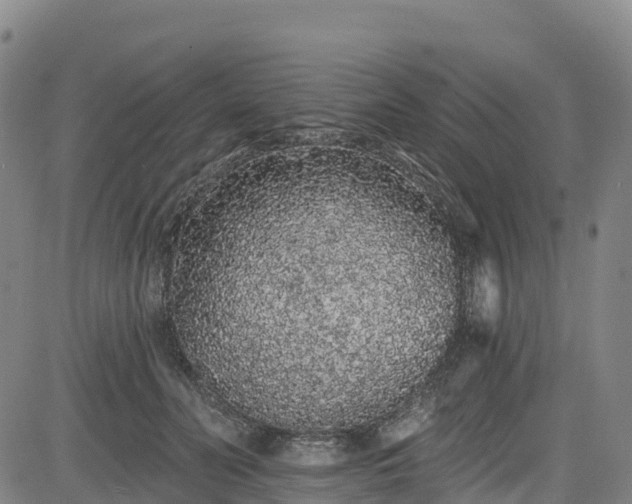 X0000085060606200703121527