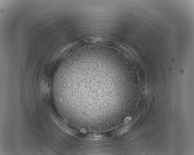 X0000085060607200703121527