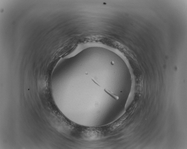 X0000085060608200703121527