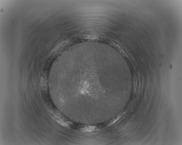 X0000085060609200703121527