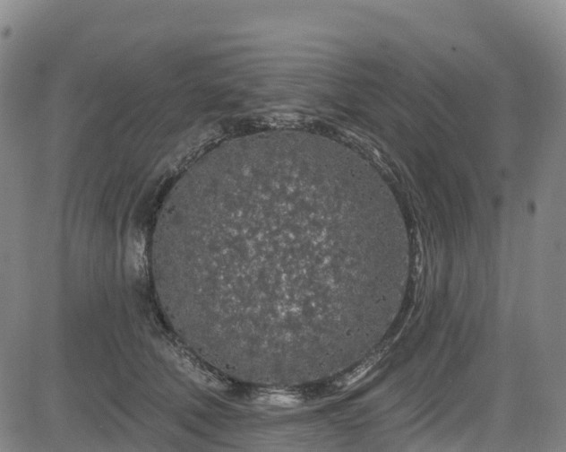 X0000085060610200703121527