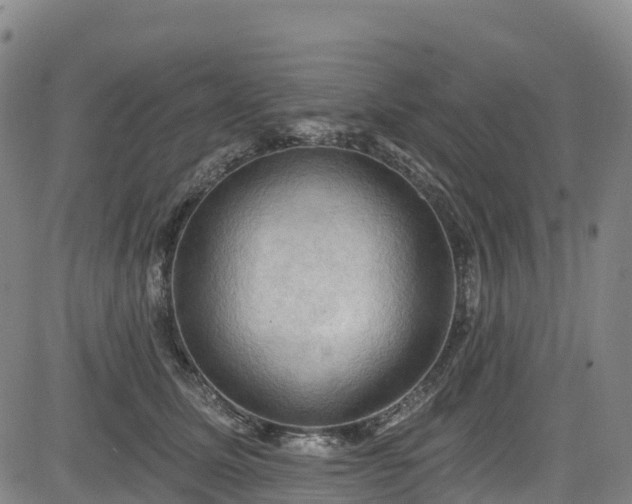 X0000085060611200703121527