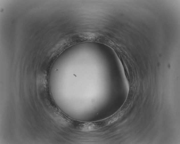 X0000085060612200703121527