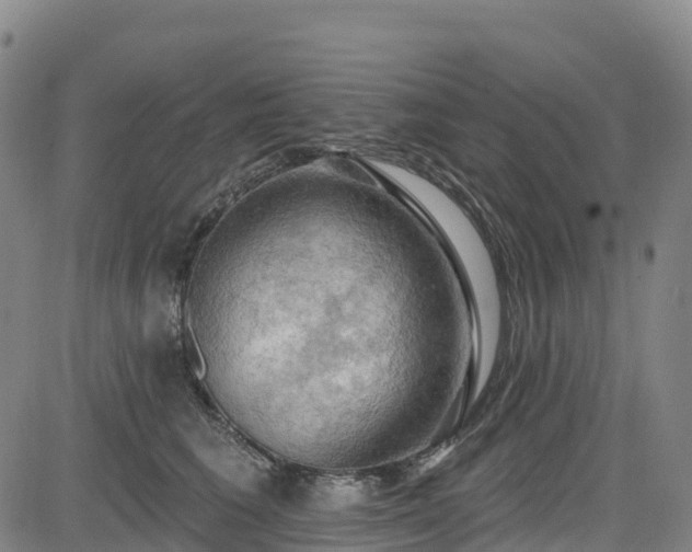 X0000085060613200703121527