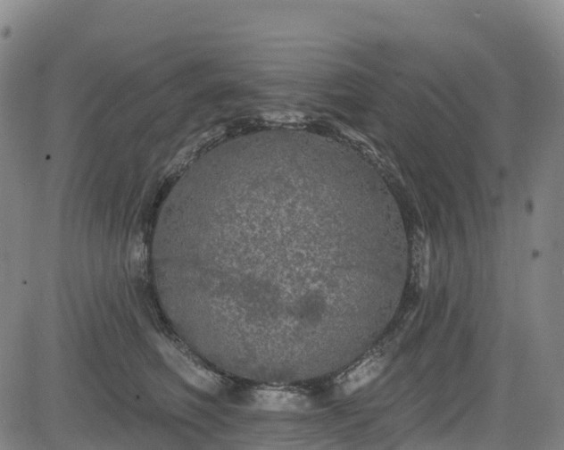 X0000085060614200703121527