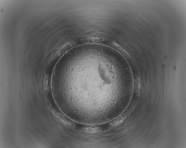 X0000085060615200703121527