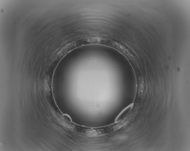 X0000085060616200703121526