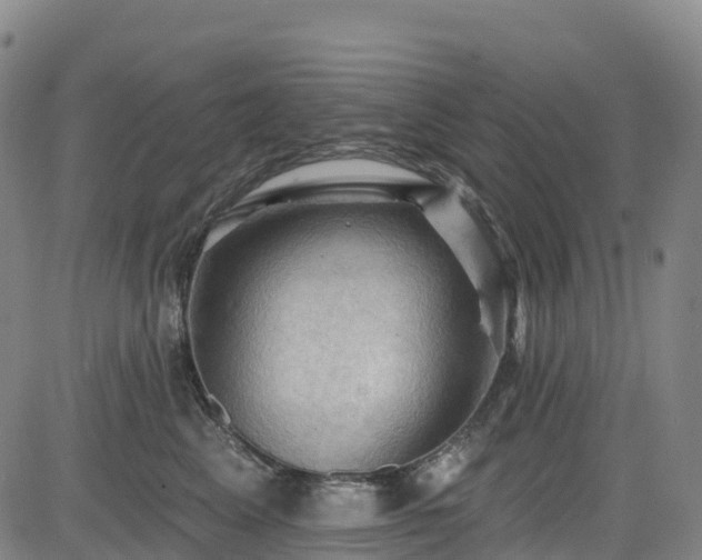 X0000085060617200703121526