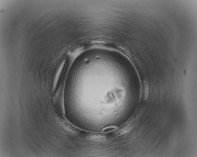 X0000085060619200703121526