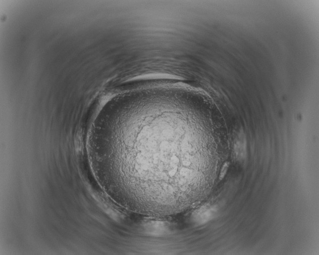 X0000085060620200703121526