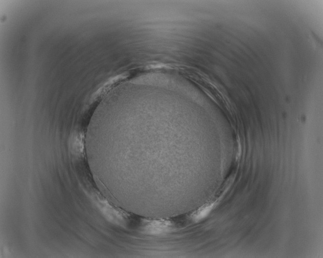 X0000085060621200703121526