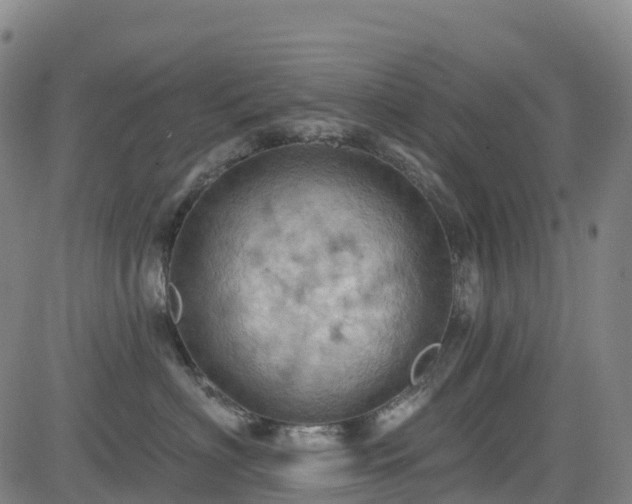 X0000085060622200703121526